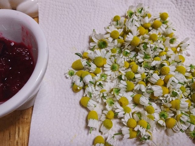 カモミールの保存方法 レシピ 作り方 By じぇり 森の中 クックパッド 簡単おいしいみんなのレシピが360万品