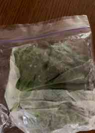 みんなが作ってる 大葉 保存 ジップロックのレシピ クックパッド 簡単おいしいみんなのレシピが351万品