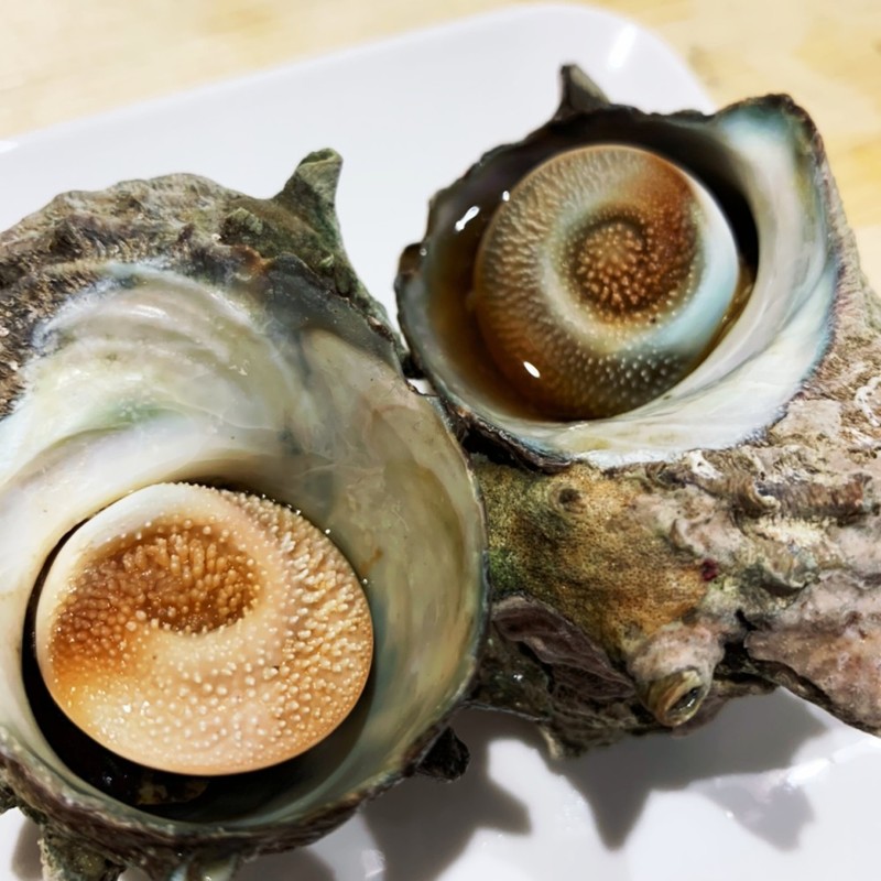 食べ サザエ 方 ゆでる の