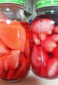 自家製紅生姜二種(食紅、梅しそ)