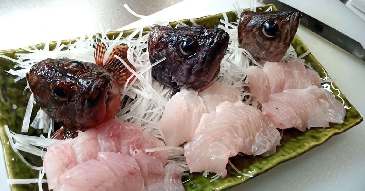 お刺身3種盛 利き根魚 レシピ 作り方 By さくるど クックパッド