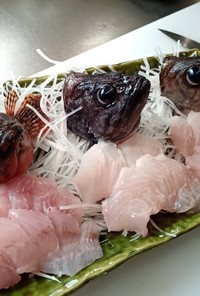 お刺身3種盛　利き根魚