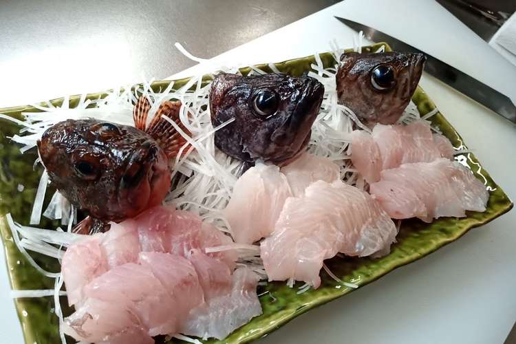 お刺身3種盛 利き根魚 レシピ 作り方 By さくるど クックパッド