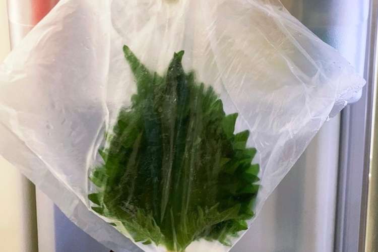 裏ワザ！すぐに見つけられる大葉の保存方法 レシピ・作り方 By さくらんぼ0522 【クックパッド】 簡単おいしいみんなのレシピが363万品