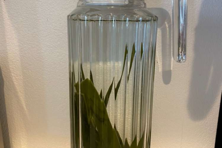 昆布水 全ての料理に レシピ 作り方 By Pensuke103 クックパッド