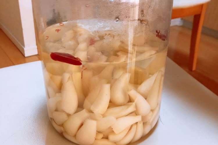 超簡単 パリパリ塩らっきょう レシピ 作り方 By 釣り女子 クックパッド 簡単おいしいみんなのレシピが358万品