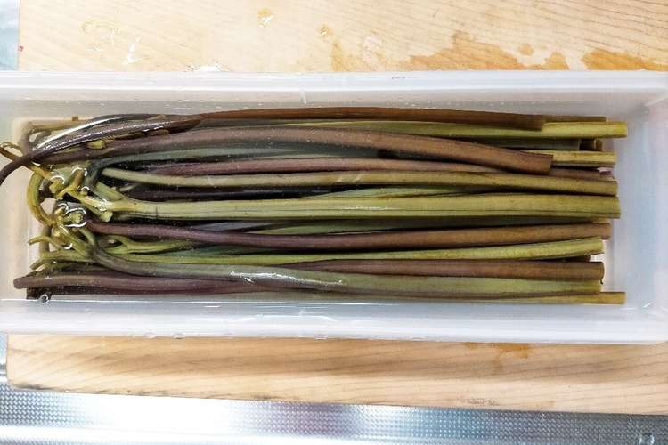 簡単 生蕨の下処理 木灰編 レシピ 作り方 By ウェンママ クックパッド 簡単おいしいみんなのレシピが357万品