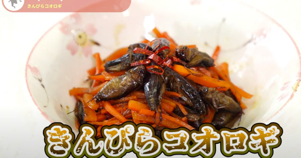 昆虫食 きんぴらコオロギ レシピ 作り方 By バグズクッキング クックパッド 簡単おいしいみんなのレシピが367万品