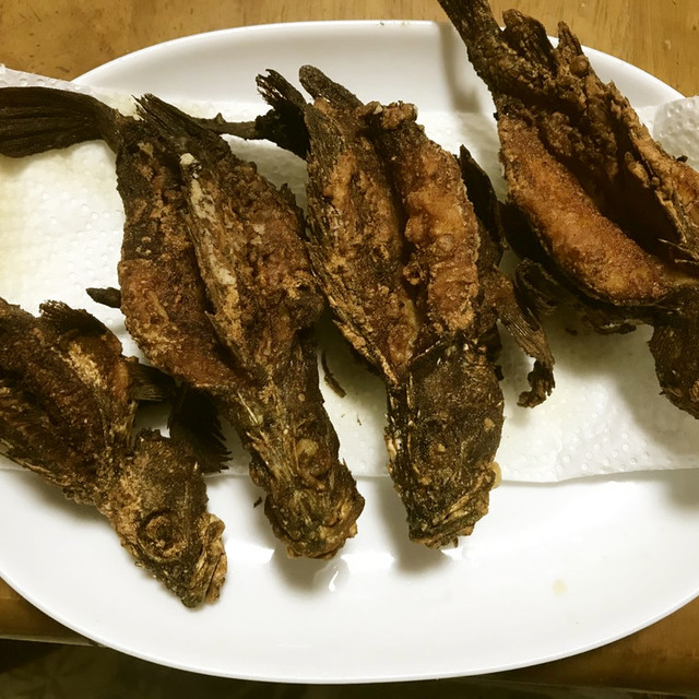 骨までバリバリ食べるメバル唐揚げ レシピ 作り方 By こっちたん クックパッド 簡単おいしいみんなのレシピが355万品