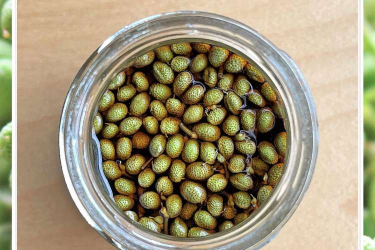 実山椒醤油 あると便利です 自家製調味料 レシピ 作り方 By Gingamom クックパッド 簡単おいしいみんなのレシピが371万品