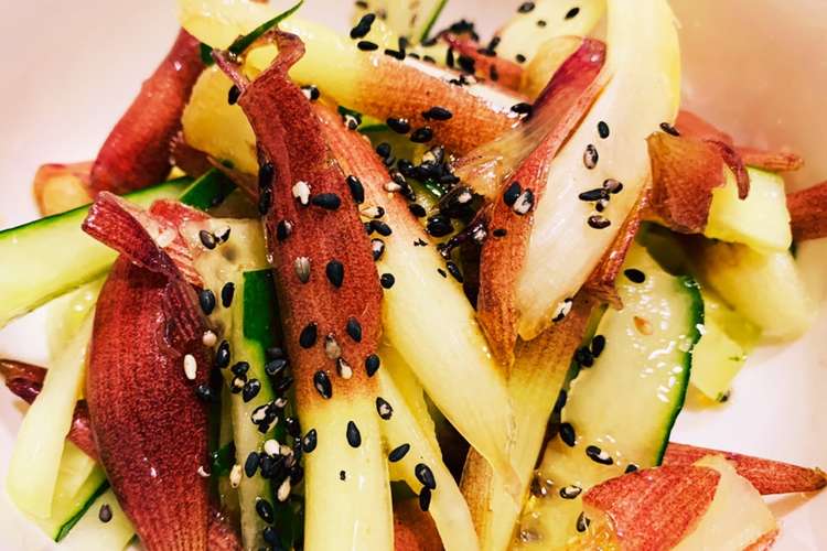 めんつゆで茎みょうがときゅうりのナムル レシピ 作り方 By たーぼのはは クックパッド 簡単おいしいみんなのレシピが366万品