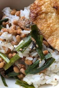 納豆とニラ・サンマ缶詰日のご飯