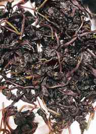 みんなが作ってる もみ紫蘇のレシピ クックパッド 簡単おいしいみんなのレシピが360万品