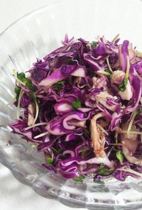 作り置きに☆ さっぱり紫キャベツのサラダ