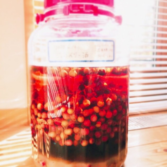 初夏のジューンベリー酒 レシピ 作り方 By ヴァヤシコフ８ クックパッド 簡単おいしいみんなのレシピが373万品