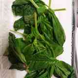 バジル 生バジル の保存方法 クックパッド料理の基本