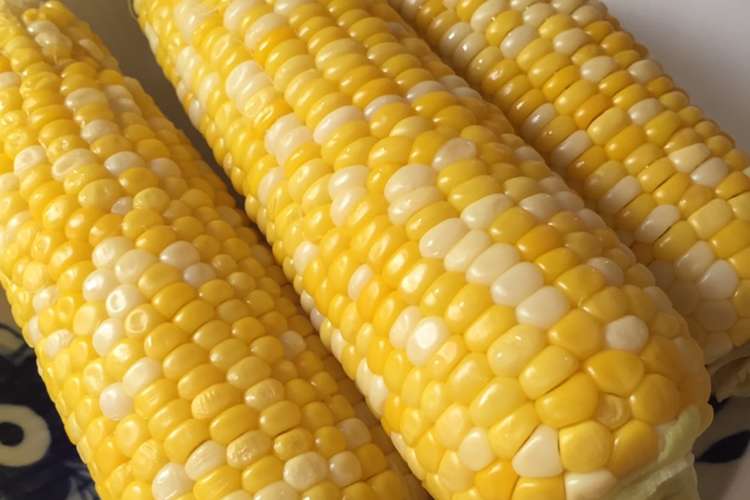 母直伝 とうきび とうもろこし の茹で方 レシピ 作り方 By さりまっち クックパッド