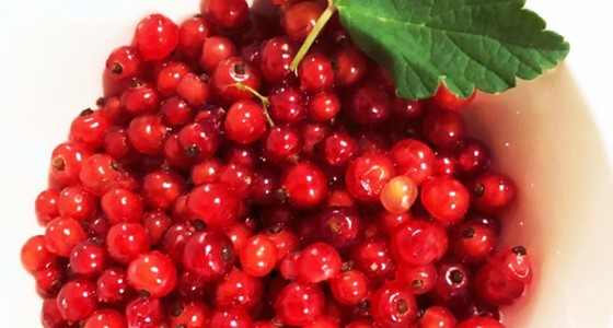 赤すぐり レッドカラント 酒 レシピ 作り方 By ぼ の クックパッド 簡単おいしいみんなのレシピが373万品