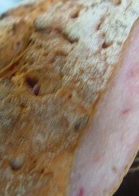 紫芋のパン・・・天然酵母パン
