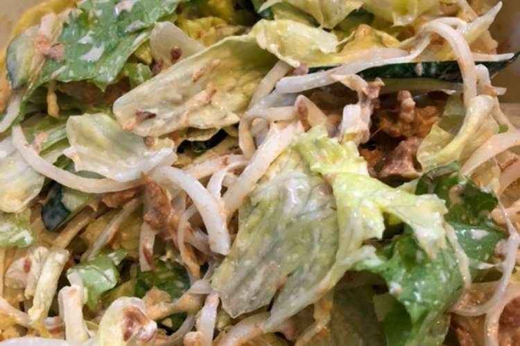 味付けマグロフレークのマヨサラダ レシピ 作り方 By もも忍者 クックパッド 簡単おいしいみんなのレシピが356万品