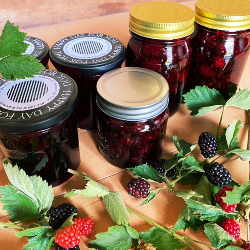 みんなが作ってる ブラックベリーのレシピ クックパッド 簡単おいしいみんなのレシピが373万品