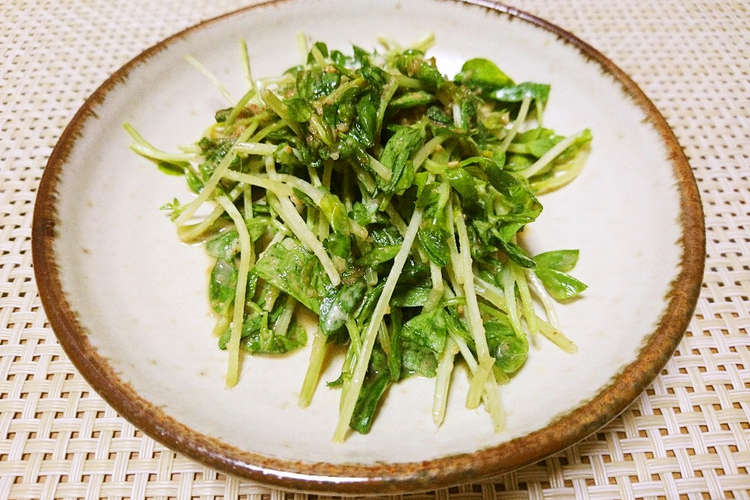 簡単 豆苗のごまマヨ和え レシピ 作り方 By ポテチ犬 クックパッド 簡単おいしいみんなのレシピが349万品