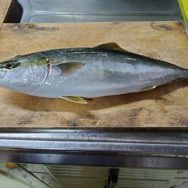 魚のさばき方 レシピ 作り方 By Sawaraちゃん クックパッド