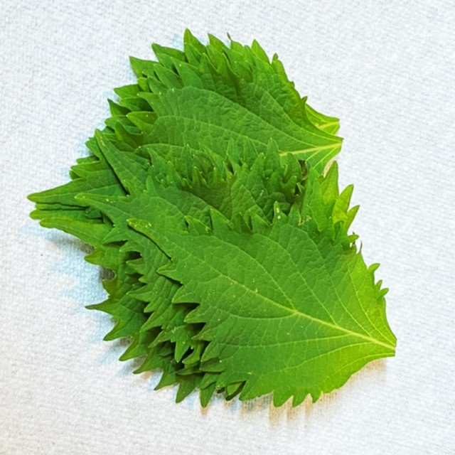 シソの簡単な下準備 レシピ 作り方 By にたまん クックパッド 簡単おいしいみんなのレシピが357万品