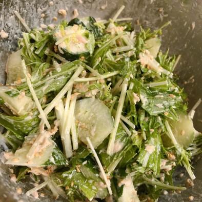 簡単！水菜ときゅうりのツナマヨサラダの写真