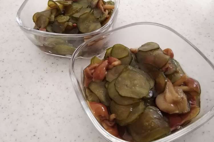 簡単 なめこときゅうりの麺つゆ煮 レシピ 作り方 By みこひろママ クックパッド 簡単おいしいみんなのレシピが360万品