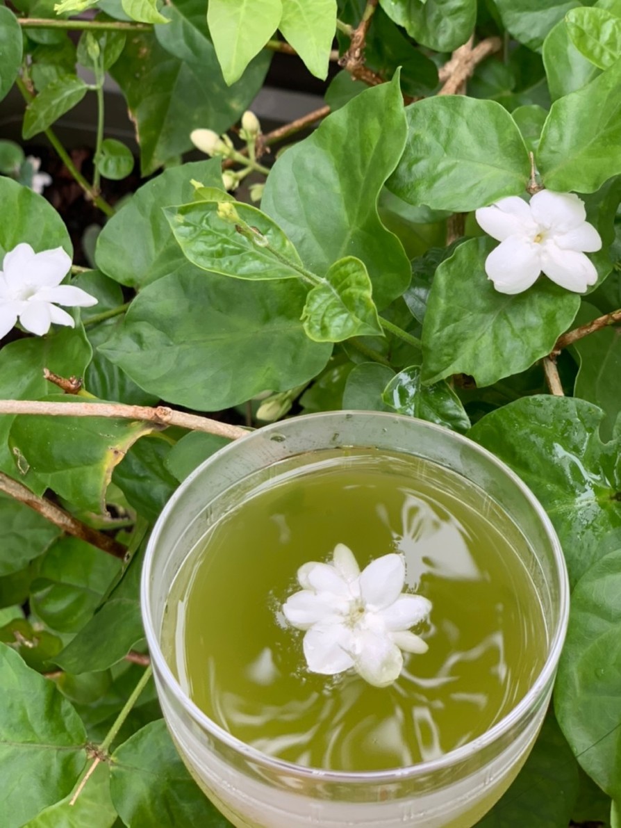 ジャスミンの水出し緑茶♡夏にぴったり♪の画像