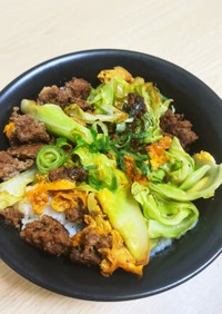 簡単！余ったひき肉と野菜を使った和風丼