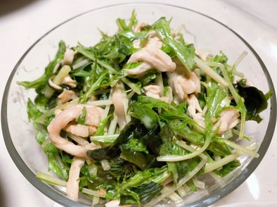 水菜と鶏むね肉の腸活サラダ☆の写真