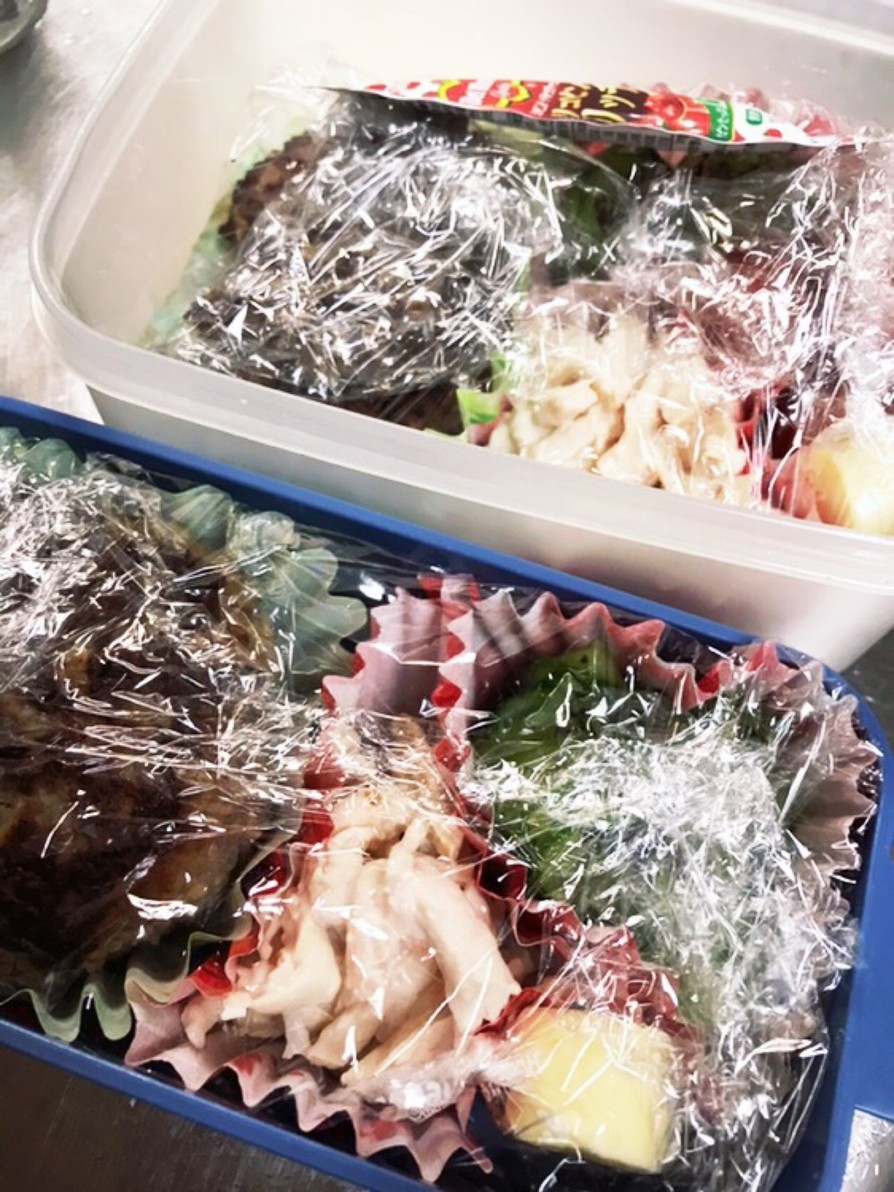 ☆お弁当シリーズ☆ずぼらさんの弁当箱の画像