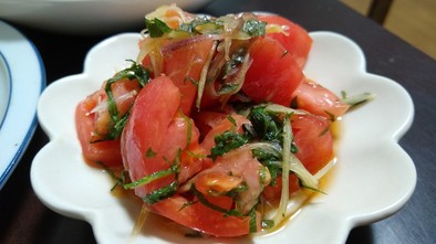 トマトとみょうがのさっぱり大葉和えの写真