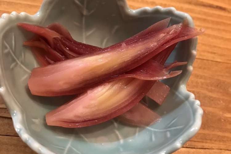 みょうが甘酢漬け ミョウガ レシピ 作り方 By Voe クックパッド 簡単おいしいみんなのレシピが360万品