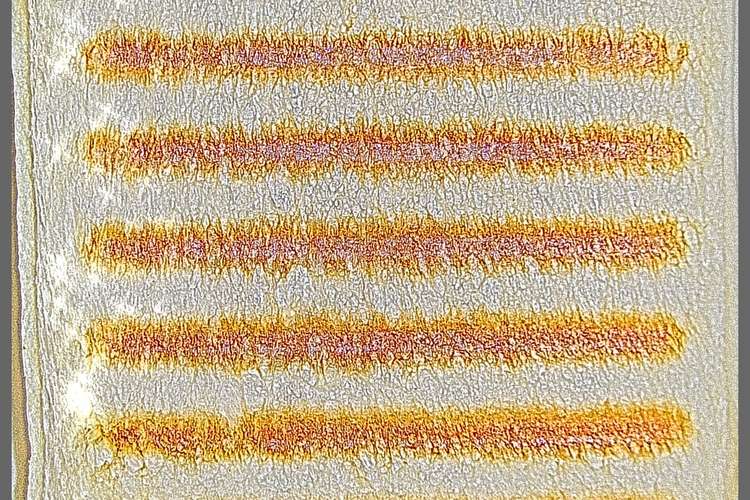 家事問屋のホットパンでランチパックを焼く レシピ 作り方 By しるびー１９７８ クックパッド 簡単おいしいみんなのレシピが373万品