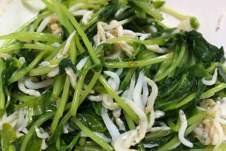 簡単 早い 豆苗としらすの和え物 レシピ 作り方 By Htmhnm クックパッド 簡単おいしいみんなのレシピが356万品