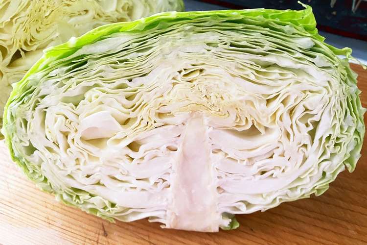 長持ちのコツ 半分キャベツの冷蔵庫保存 レシピ 作り方 By Mico65 1dk クックパッド 簡単おいしいみんなのレシピが352万品