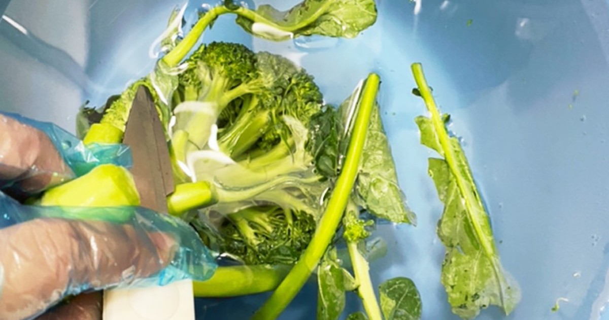 虫嫌いでブロッコリー好きの切り方 洗い方 レシピ 作り方 By ほりかちゃん クックパッド 簡単おいしいみんなのレシピが365万品