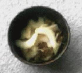 セロリとジャコのサラダ
