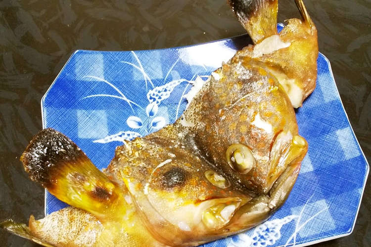 アコ キジハタ の兜焼き レシピ 作り方 By 明石浦漁業協同組合 クックパッド 簡単おいしいみんなのレシピが362万品