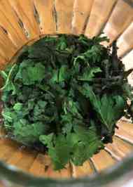 みんなが作ってる しそドレッシング 保存のレシピ クックパッド 簡単おいしいみんなのレシピが354万品