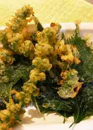 みんなが作ってる バジルの花のレシピ クックパッド 簡単おいしいみんなのレシピが367万品