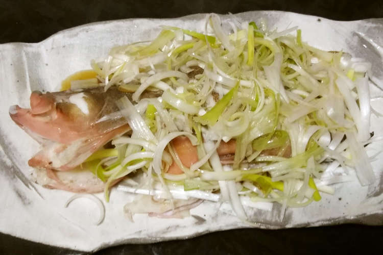 アコ キジハタ の中華蒸し 清蒸 レシピ 作り方 By 明石浦漁業協同組合 クックパッド 簡単おいしいみんなのレシピが356万品
