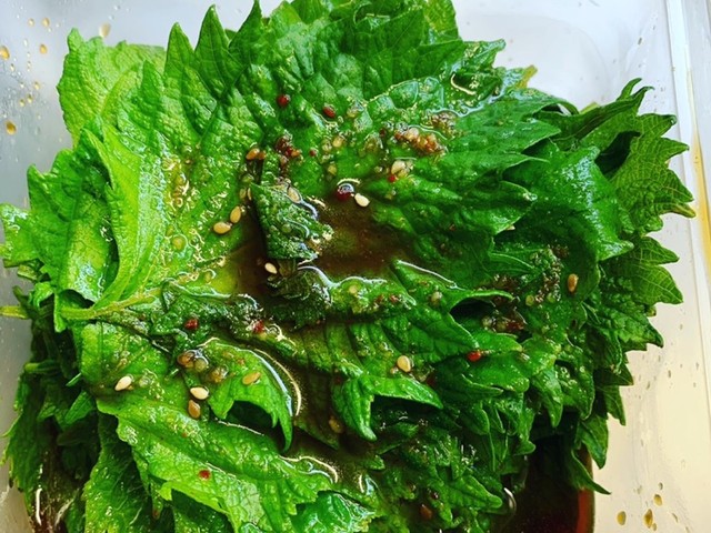 大葉大量消費 醤油漬け レシピ 作り方 By さりぃ クックパッド 簡単おいしいみんなのレシピが355万品 大葉大量消費 醤油漬け レシピ 作り方 By さりぃ クックパッド 簡単おいしいみんなのレシピが355万品