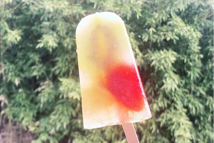 とけないアイスキャンディ糖尿病食 レシピ 作り方 By 祥子7 クックパッド 簡単おいしいみんなのレシピが377万品