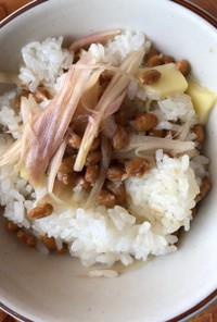 納豆とミョウガの酢漬けのご飯