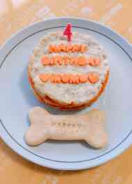 みんなが作ってる 犬 ケーキ お肉のレシピ クックパッド 簡単おいしいみんなのレシピが366万品