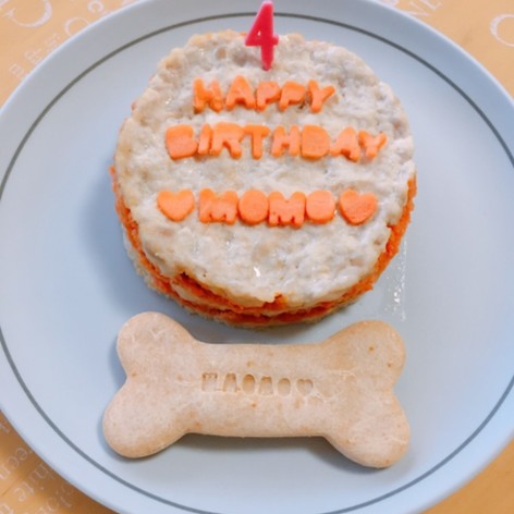 犬用ケーキ簡単！レンジで誕生日ケーキ！